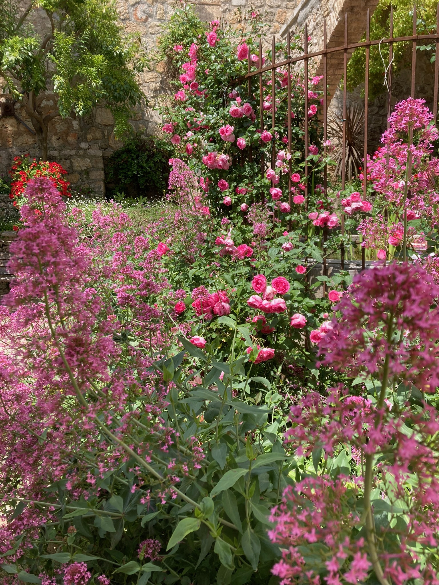fleurs villa Fragonard